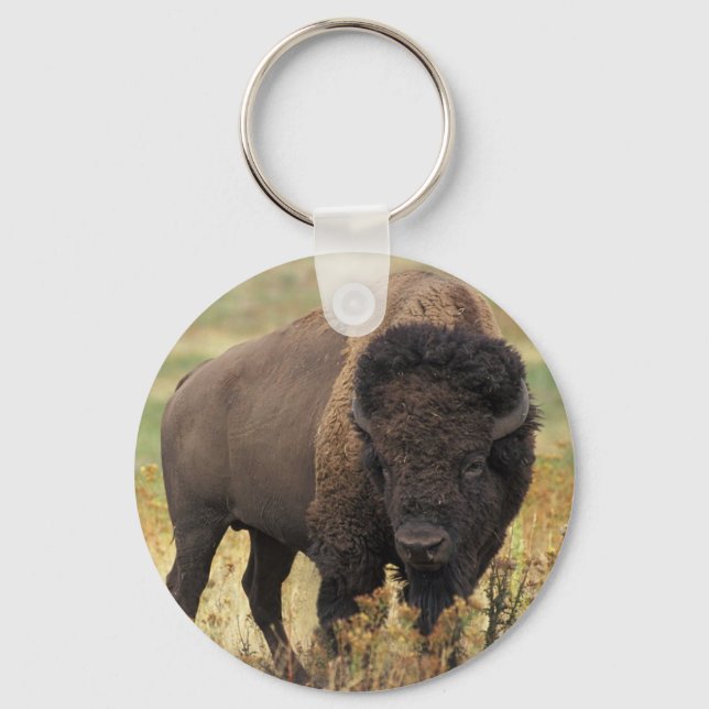 American Bison Keychain (Front)
