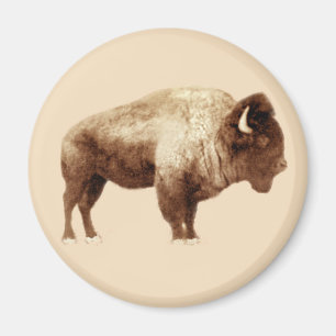American Bison Magnet