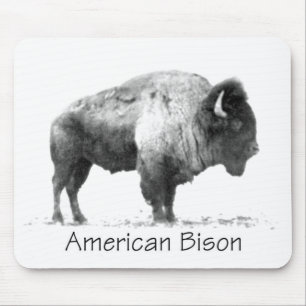 American Bison Mouse Pad