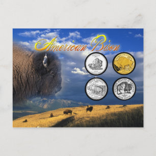 American Bison on coins Postcard