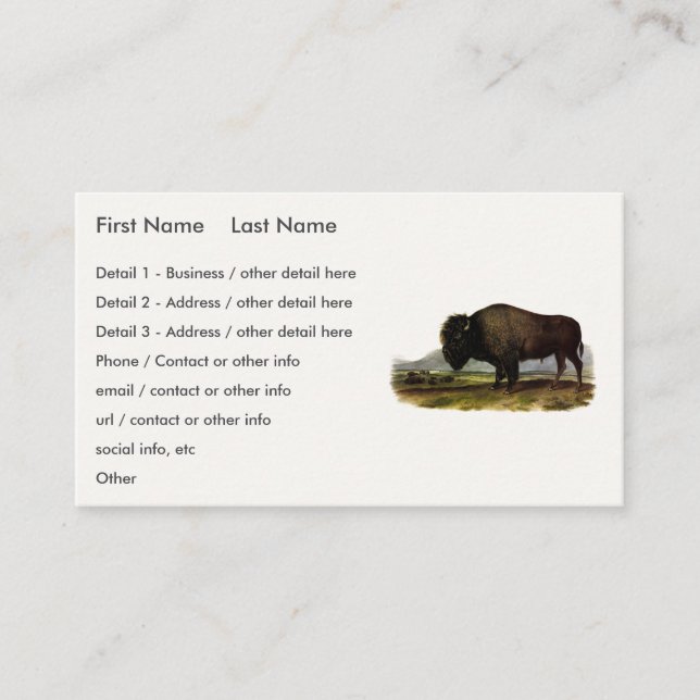 American Bison, or Buffalo (Bison bison) - Audubon Business Card (Front)