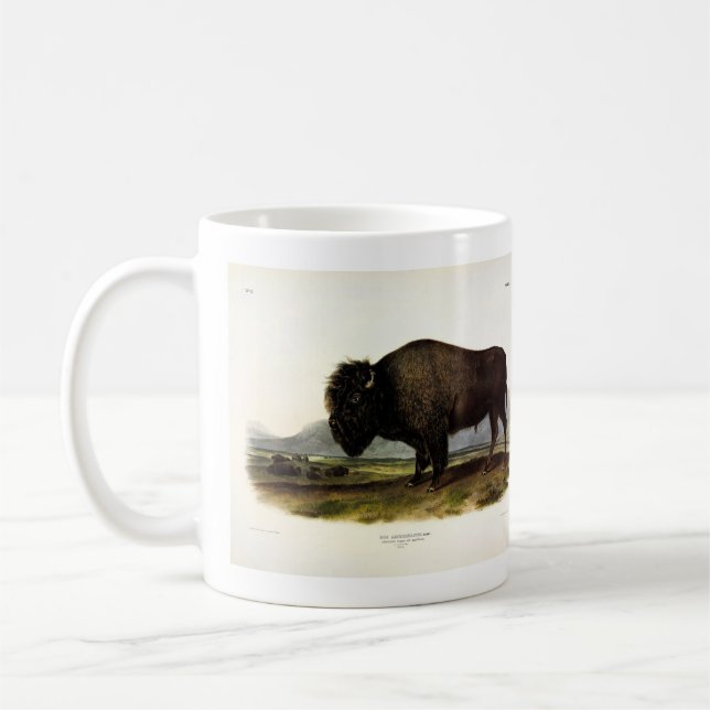 American Bison, or Buffalo (Bison bison) - Audubon Coffee Mug (Left)