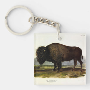 American Bison, or Buffalo (Bison bison) - Audubon Key Ring