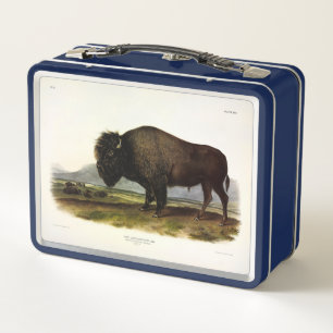 American Bison, or Buffalo (Bison bison) - Audubon Metal Lunch Box