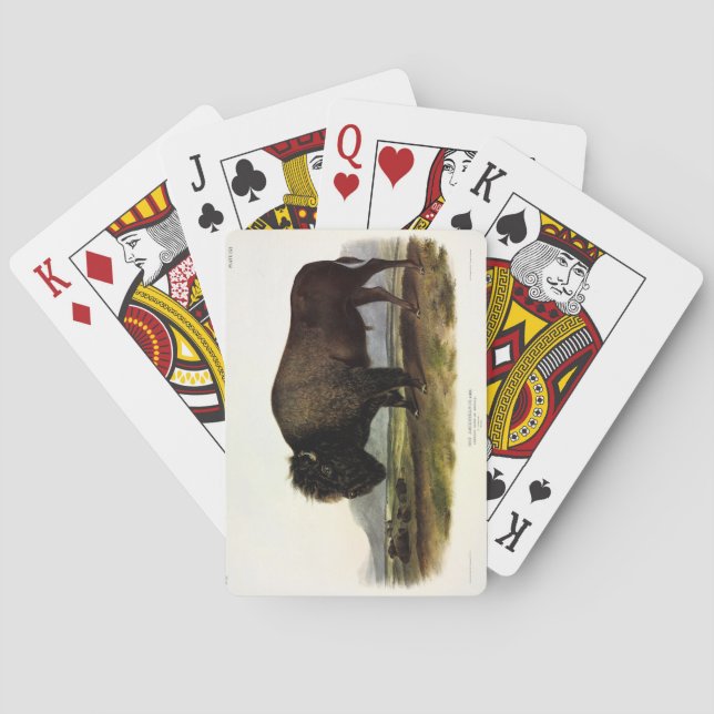 American Bison, or Buffalo (Bison bison) - Audubon Playing Cards (Back)