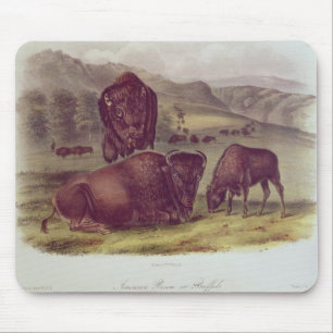 American Bison or Buffalo Mouse Pad