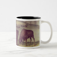 American Bison or Buffalo