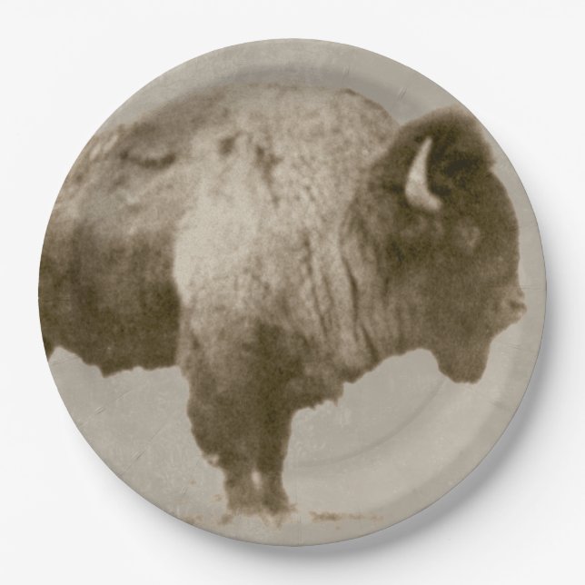 American Bison. Paper Plate (Front)