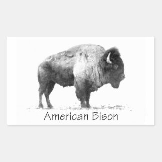 American Bison Rectangular Sticker