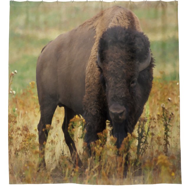 American Bison Shower Curtain (Front)