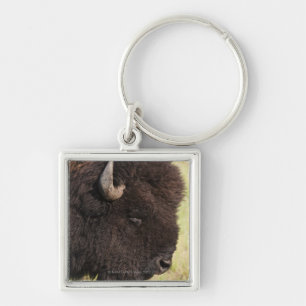 American Bison, South Dakota Key Ring