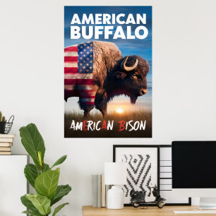 American bison stands in a field poster