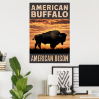 American Bison Sunset Silhouette