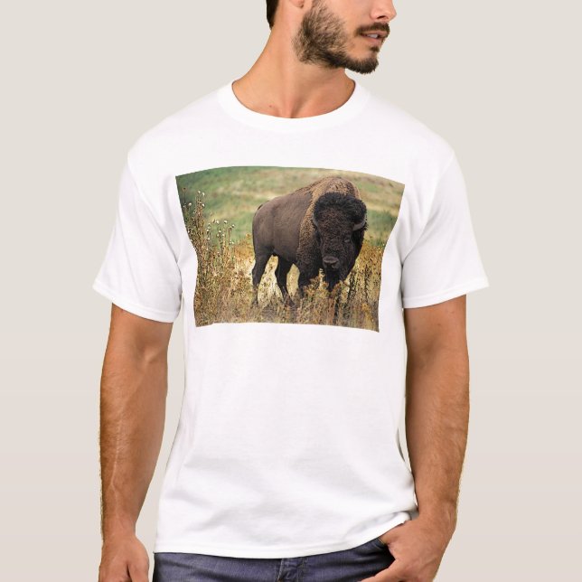 American Bison T-Shirt (Front)