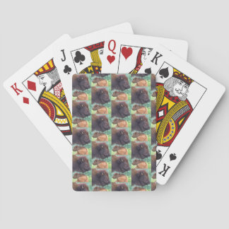 American Bison The Next Generation Playing Cards
