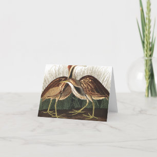 American Bittern by John James Audubon Thank You Card