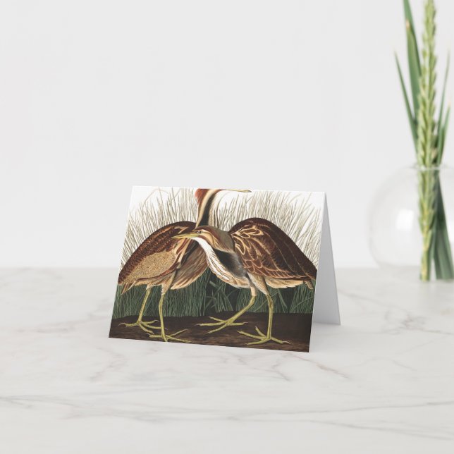 American Bittern by John James Audubon Thank You Card (Front)