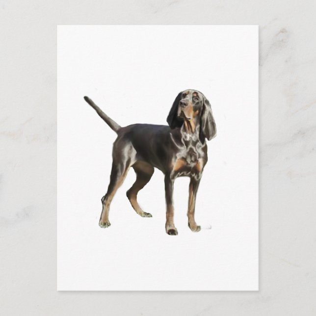 American Black and Tan Coon Hound Postcard (Front)