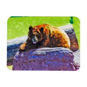 American Black Bear at Rest Abstract Impressionism Magnet
