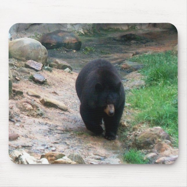 American Black Bear Mouse Pad (Front)