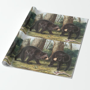 American Black Bear Ursus Americanus Illustration Wrapping Paper