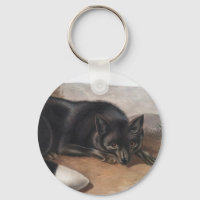 American Black or Silver Fox (Vulpes fulvus)