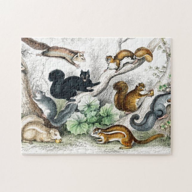 American Black Squirrel, Ariel Petaurus, Squirrel Jigsaw Puzzle (Horizontal)