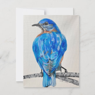 American Bluebird Holiday Card