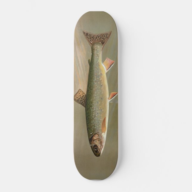 American Brook Trout Fish Vintage Illustration Skateboard (Front)