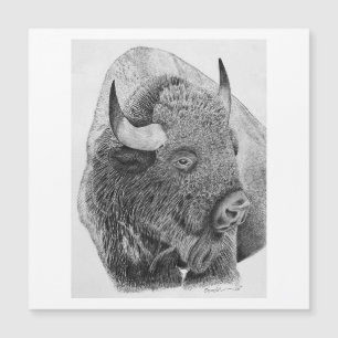American Buffalo