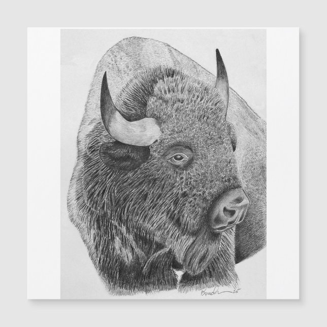 American Buffalo (Front)
