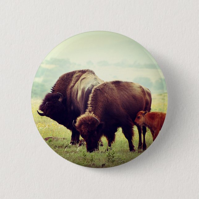 American Buffalo (Bison) Family  6 Cm Round Badge (Front)