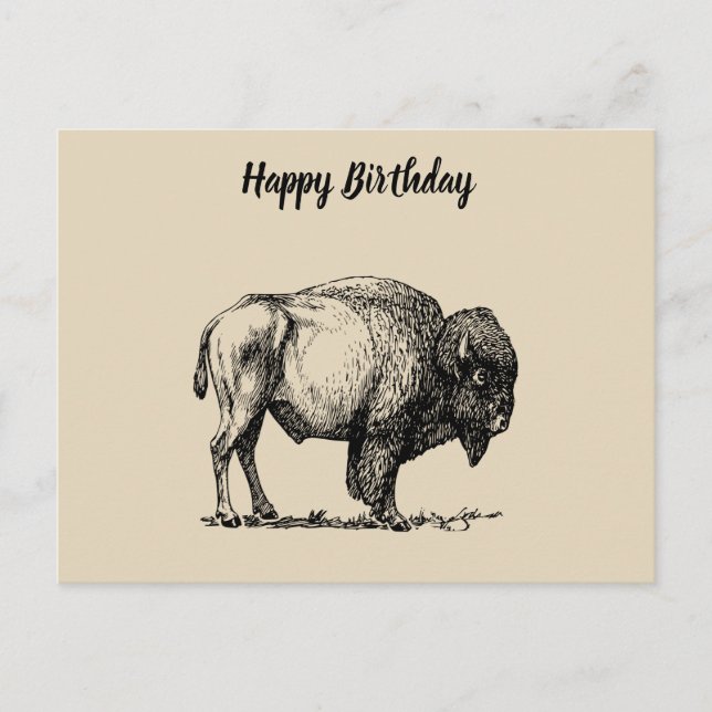 American Buffalo Bison Postcard (Front)