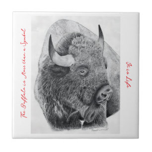 American Buffalo Ceramic Tile