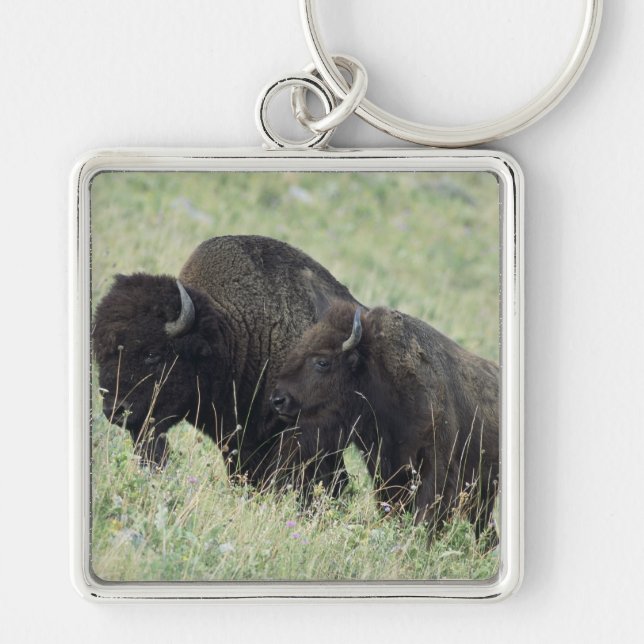 American Buffalo Key Ring (Front)
