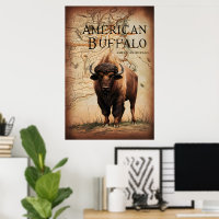 American Buffalo On A Map