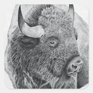 American Buffalo Square Sticker
