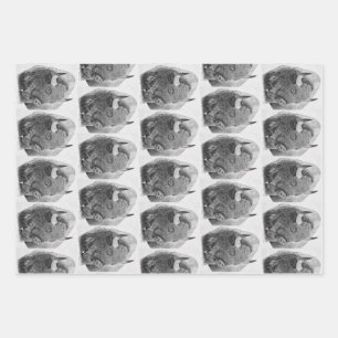 American Buffalo Wrapping Paper Sheet