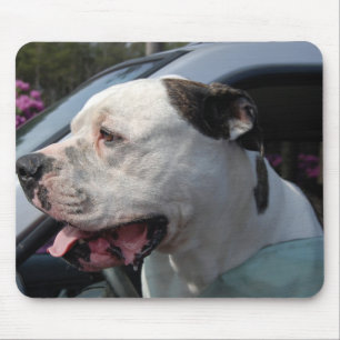 American Bull Dog Mouse Pad