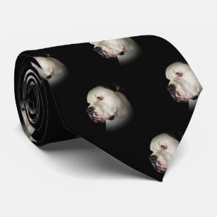 American Bull Dog portrait on black Tie