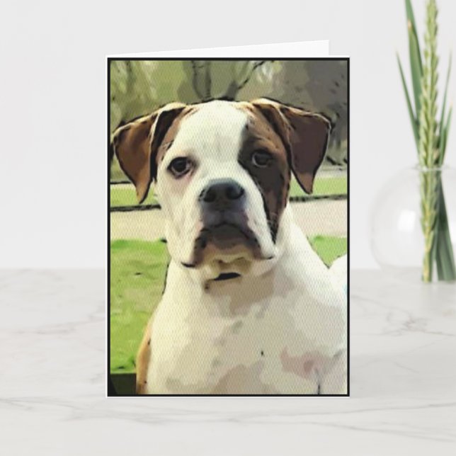 American bulldog greeting card (Front)