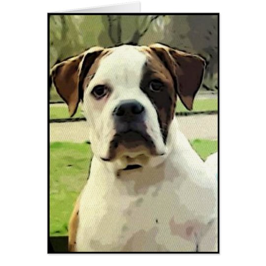 American bulldog greeting card