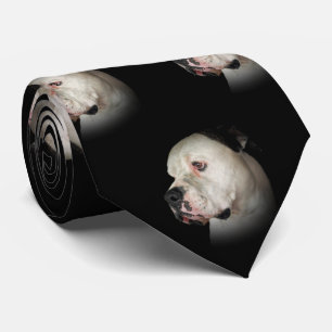 American Bulldog On Black Tie