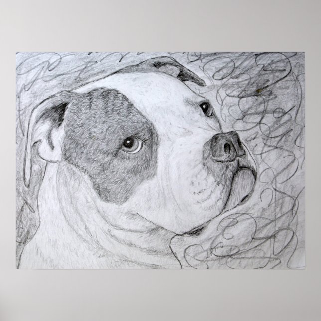 American Bulldog Pet Portrait Art Pencil Drawing Poster (Front)