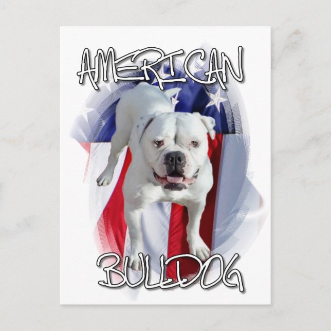 American Bulldog Postcard (Front)
