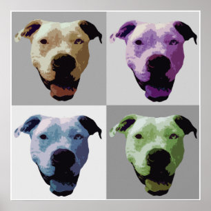 American bulldog poster