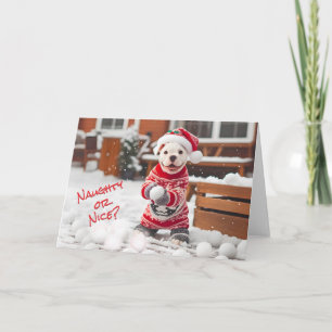 American Bulldog Pup Making Snowballs Card