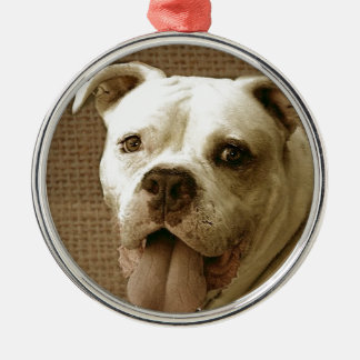 American Bulldog round ornament