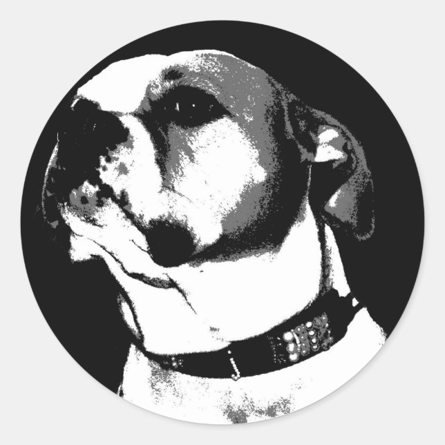 American bulldog sticker (Front)