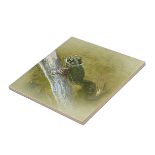 American Bullfrog - Rana catesbeiana Ceramic Tile